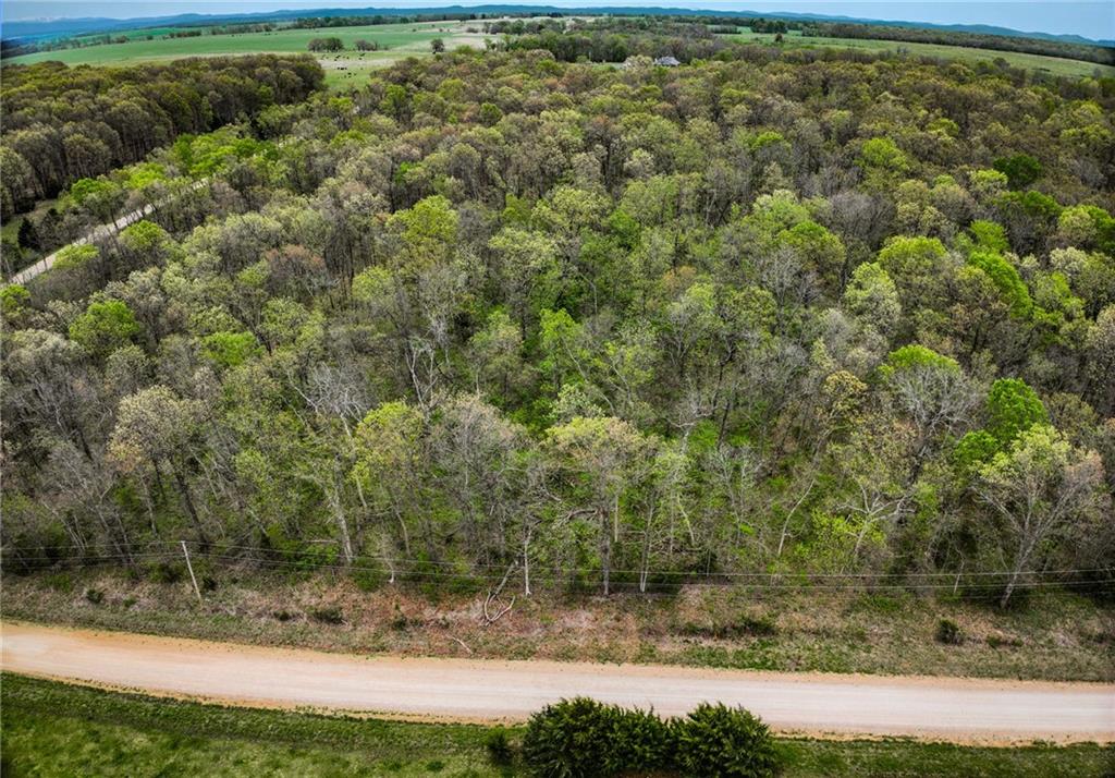 0 South 725 Road Stockton, MO 65785 - Photo 35 of 48