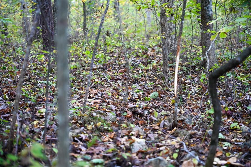 0 South 725 Road Stockton, MO 65785 - Photo 7 of 48