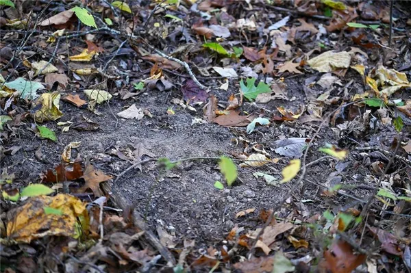 $85,360 | 21395 South 725 Road, Stockton, MO 65785