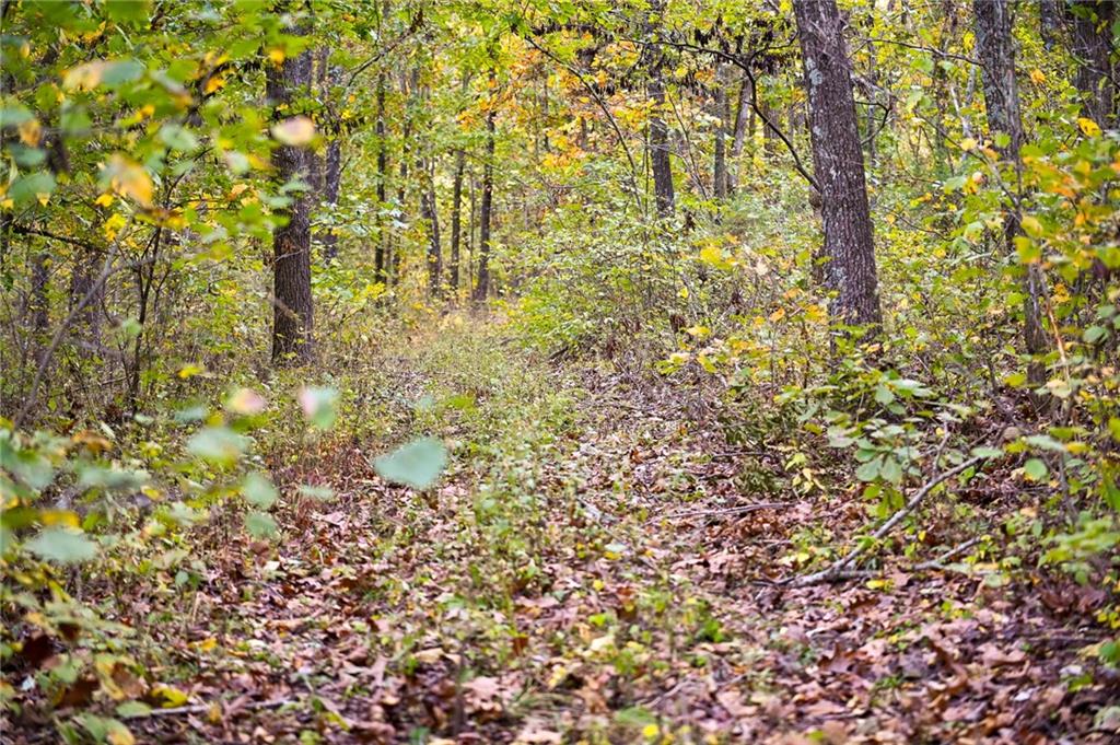 0 South 725 Road Stockton, MO 65785 - Photo 10 of 48