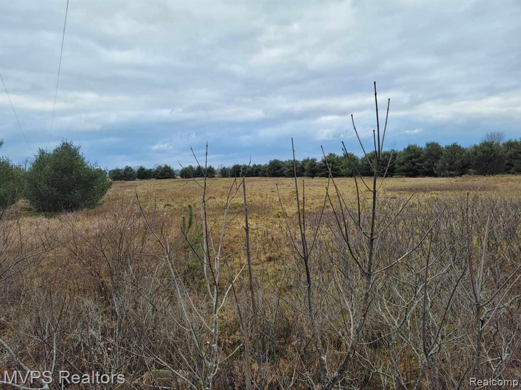 0 Bricker Road Avoca, MI 48006 - Photo 3 of 6