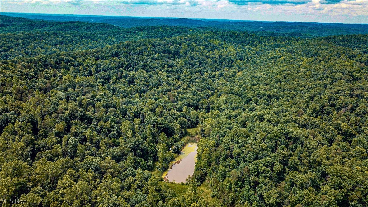 731 Fall Run Road Walker, WV 26180 - Photo 25 of 26 Bird's eye view of a forest