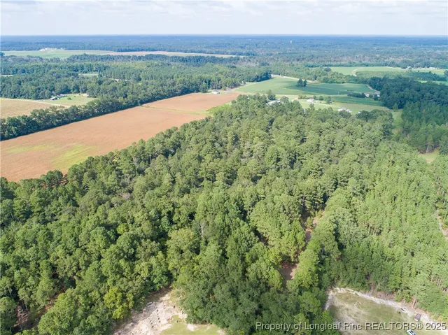a view of a lush green outdoor space with a lake view