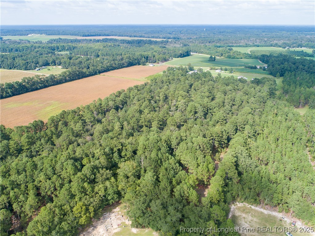 8048 Concord Church Road Autryville, NC 28318 - Photo 3 of 8 a view of a lush green outdoor space with a lake view