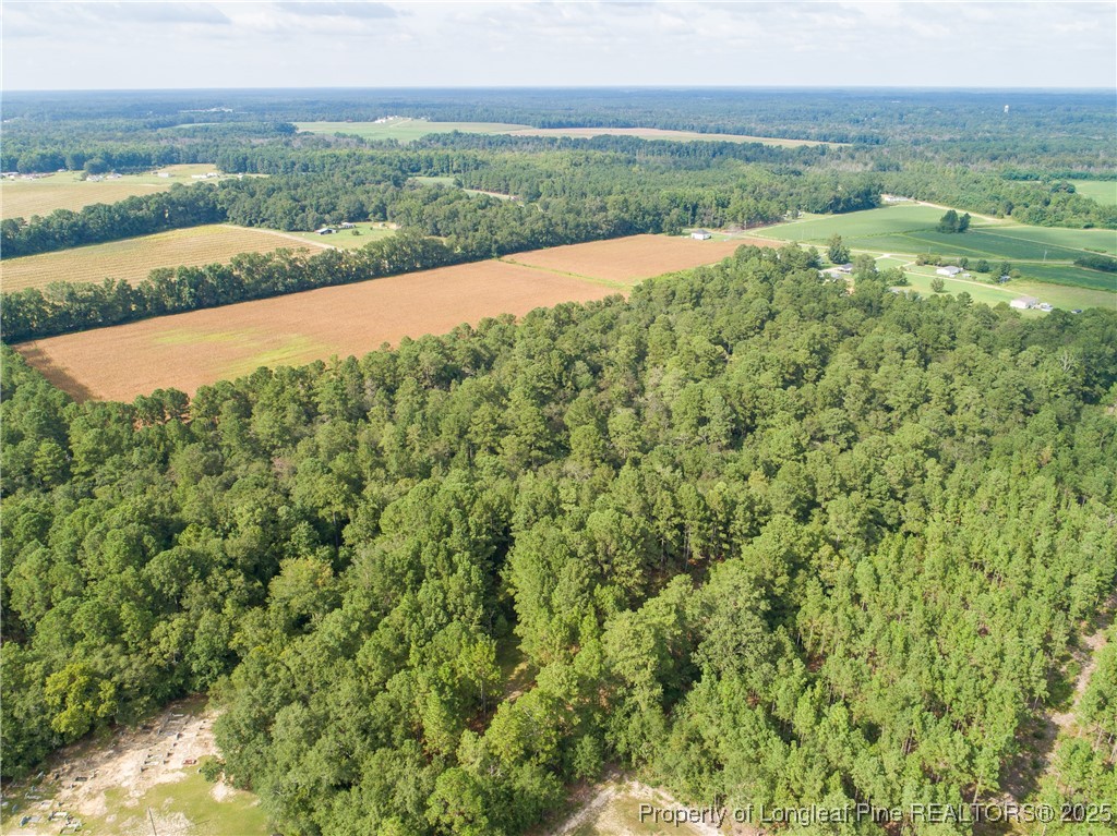 8048 Concord Church Road Autryville, NC 28318 - Photo 4 of 8 a view of a field with an ocean
