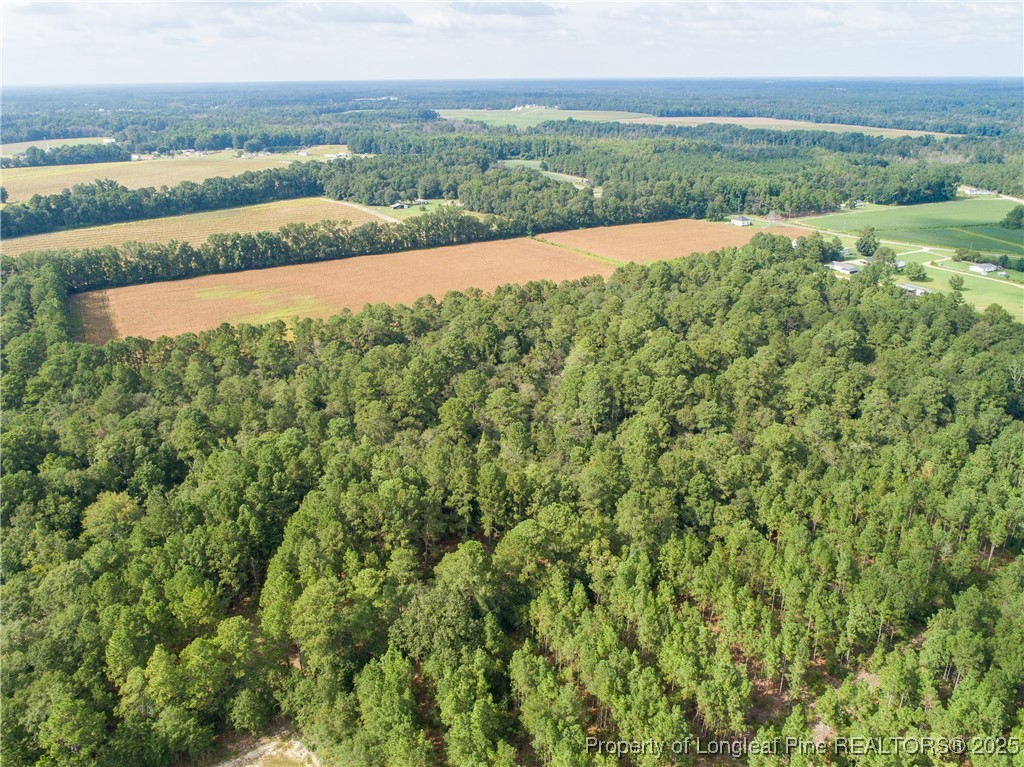 8048 Concord Church Road Autryville, NC 28318 - Photo 5 of 8 a view of a field with an ocean view