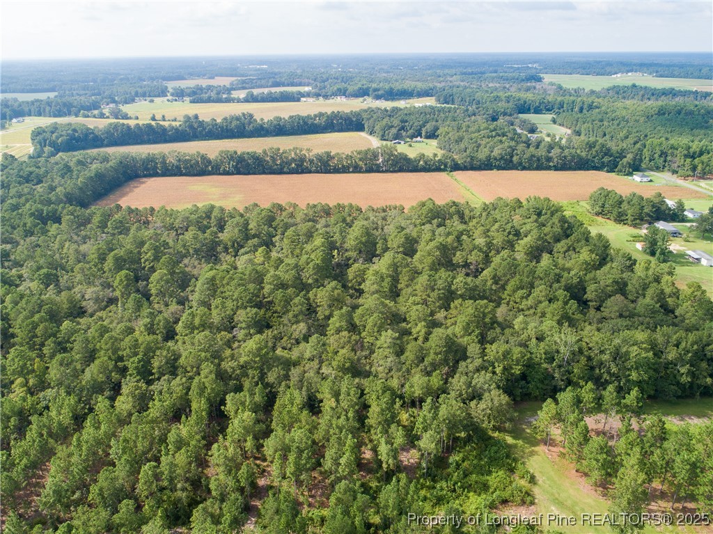 8048 Concord Church Road Autryville, NC 28318 - Photo 6 of 8 a view of a city with lush green forest