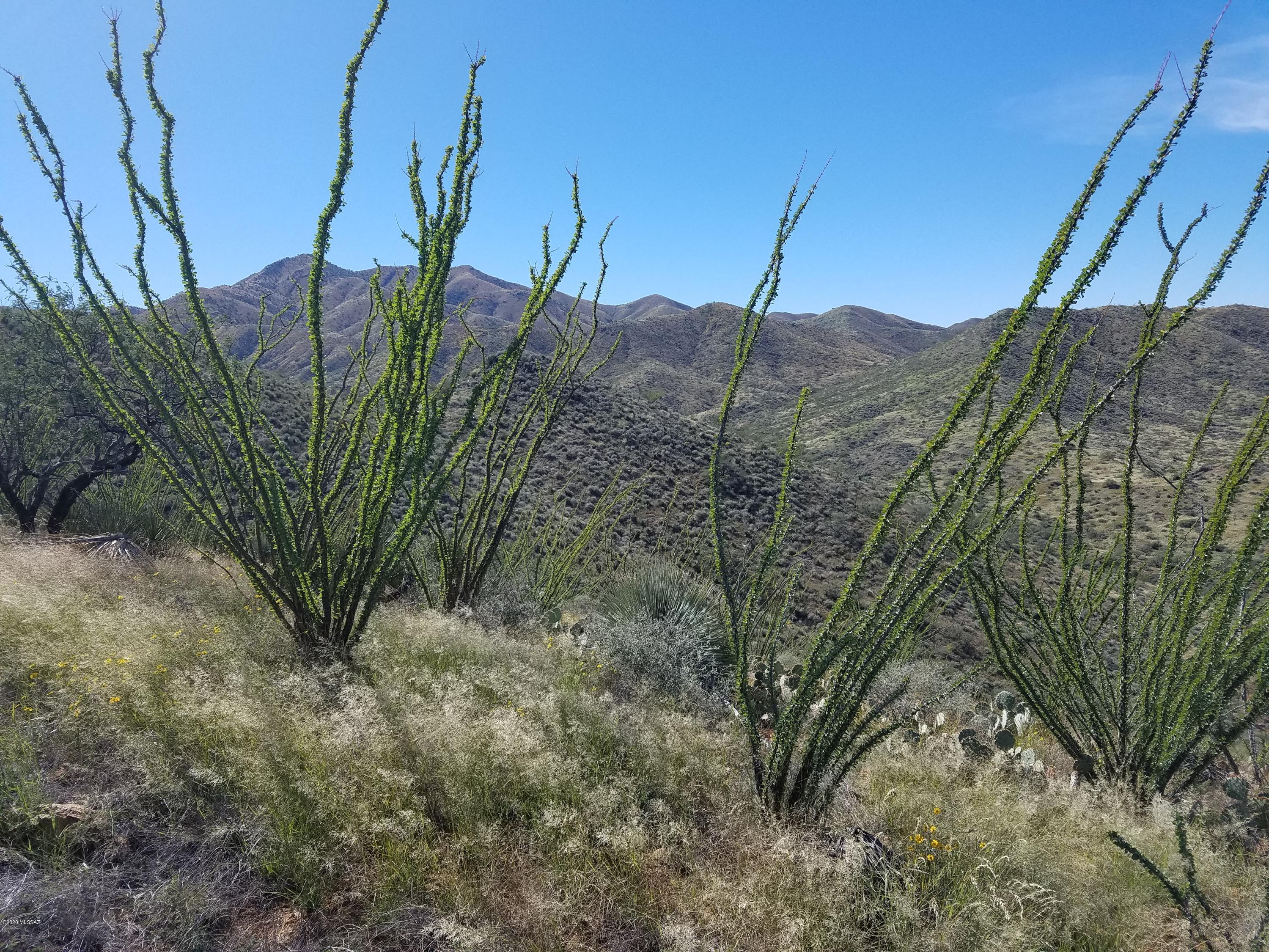 South Goodenough Trail Vail, AZ 85641 - Photo 35 of 48