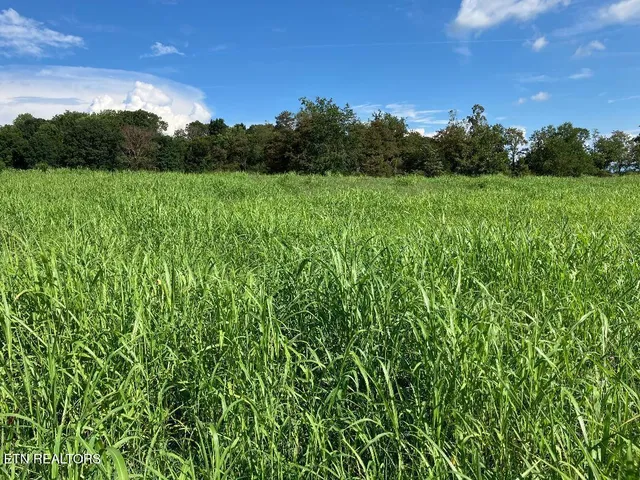 $339,577 | 3200 Milburnton Road, Limestone, TN 37681