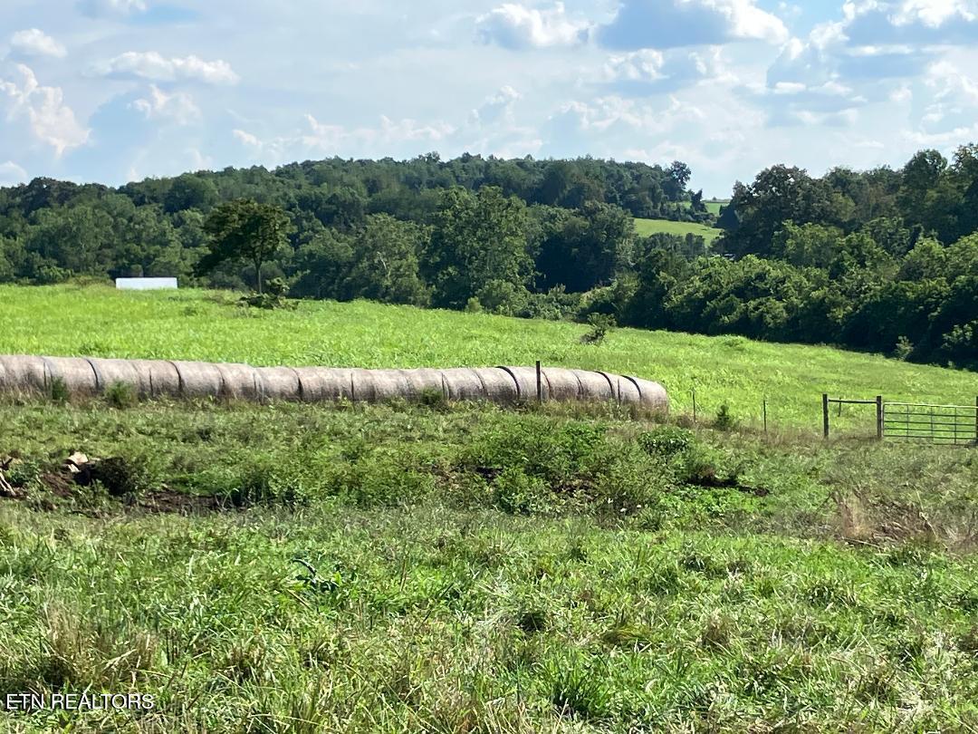 3200 Milburnton Road Limestone, TN 37681 - Photo 12 of 28 12) 60902-68895872769ac