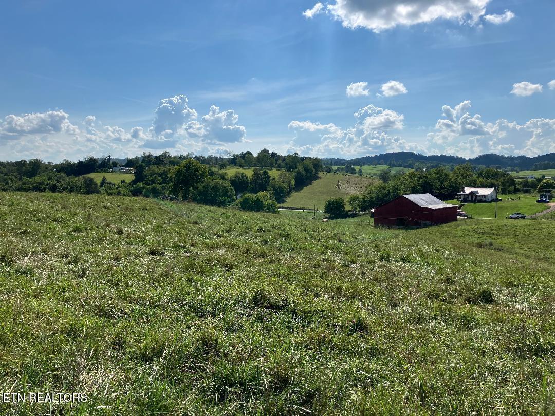 3200 Milburnton Road Limestone, TN 37681 - Photo 13 of 28 13) 60902-688958776d998