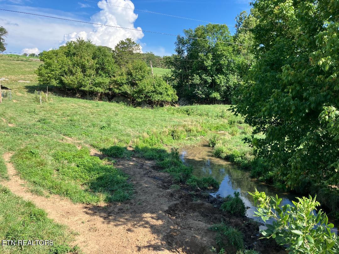 3200 Milburnton Road Limestone, TN 37681 - Photo 15 of 28 15) 60902-688958fc5c266