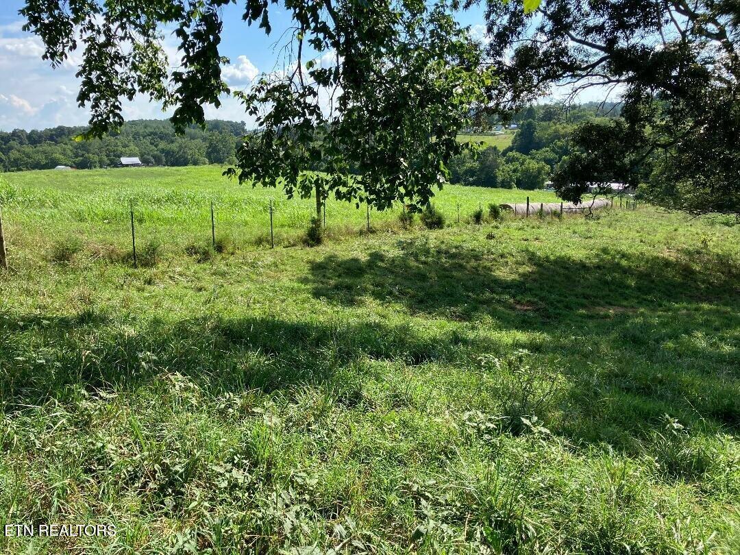 3200 Milburnton Road Limestone, TN 37681 - Photo 21 of 28 21) 60902-688959ca45fbb