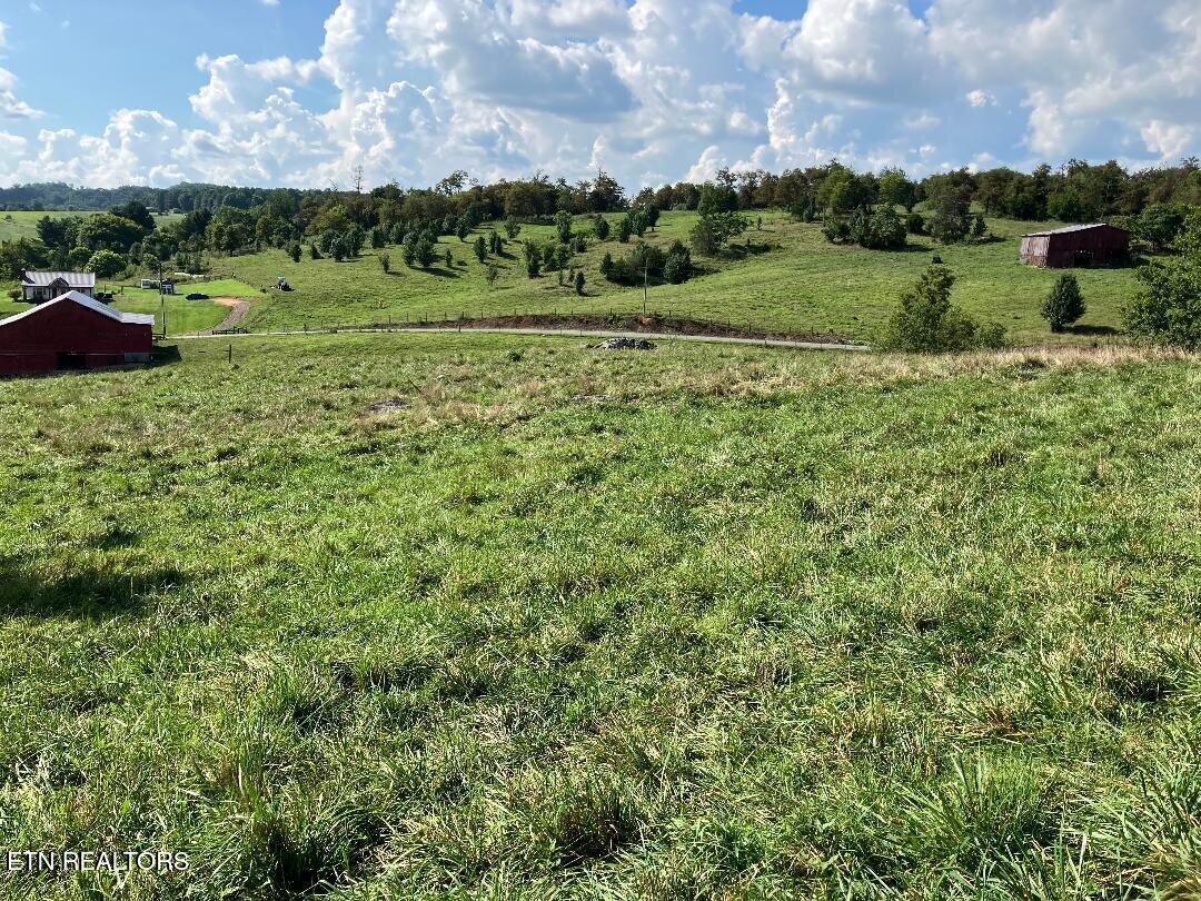 3200 Milburnton Road Limestone, TN 37681 - Photo 22 of 28 22) 60902-688959dac0ae0