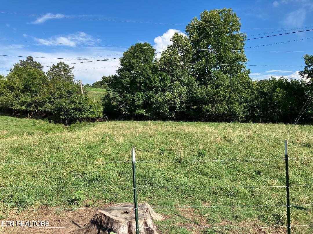 3200 Milburnton Road Limestone, TN 37681 - Photo 3 of 28 3) 60902-6889544a2d7d6