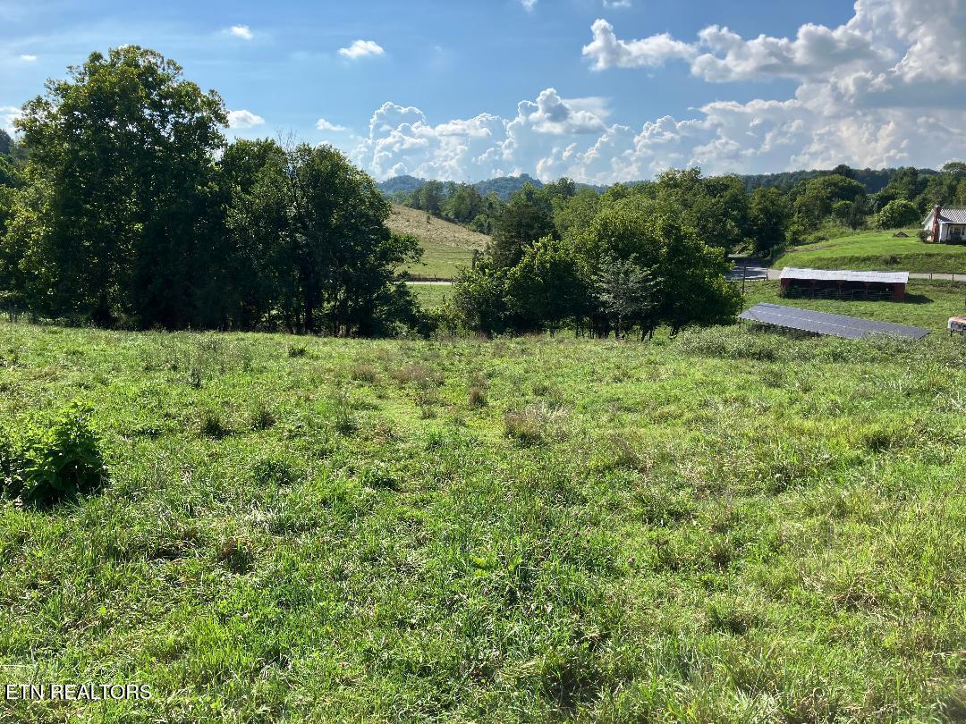 3200 Milburnton Road Limestone, TN 37681 - Photo 6 of 28 6) 60902-6889555be93d3