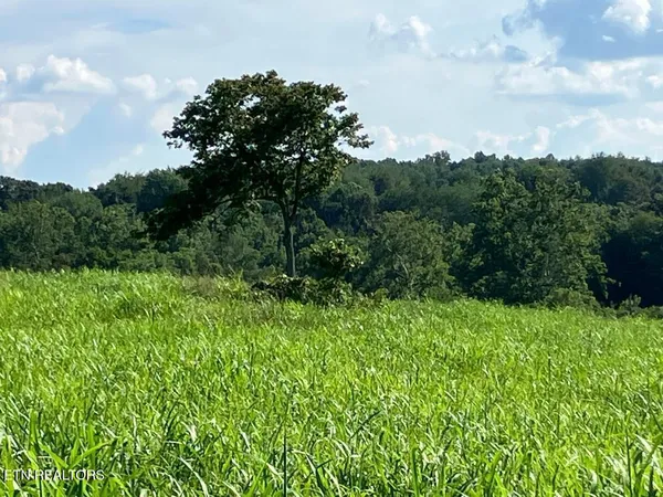 $327,577 | 3200 Milburnton Road, Limestone, TN 37681