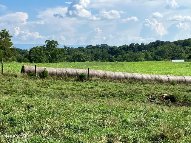 $339,577 | 3200 Milburnton Road, Limestone, TN 37681