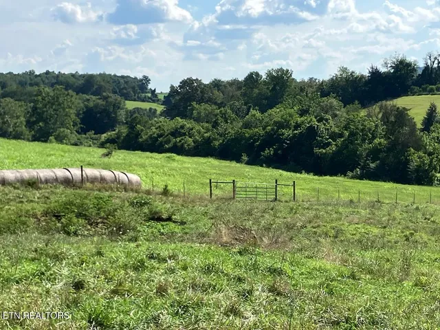 $339,577 | 3200 Milburnton Road, Limestone, TN 37681