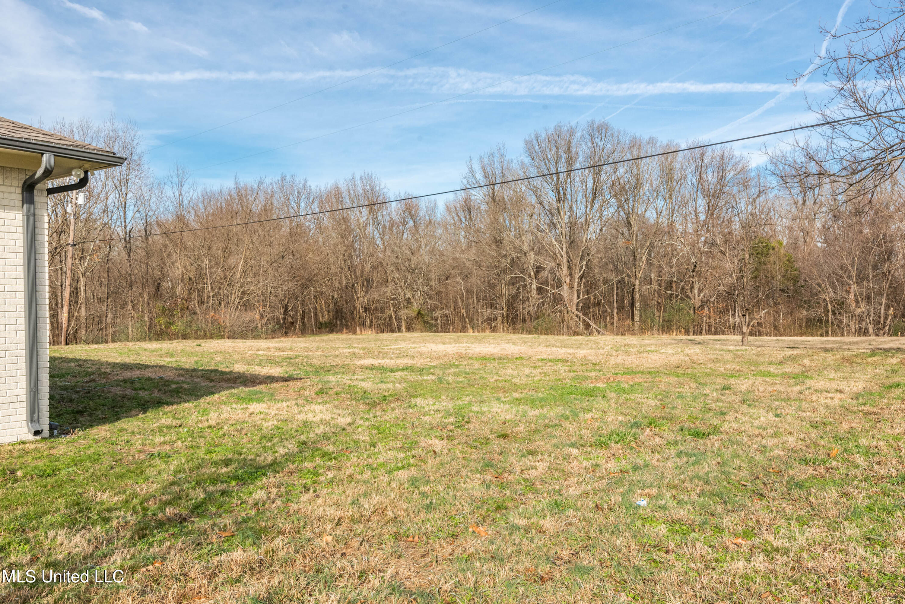 5098 Days Road Lake Cormorant, MS 38641 - Photo 18 of 21 Huge Back yard 2.77 acre