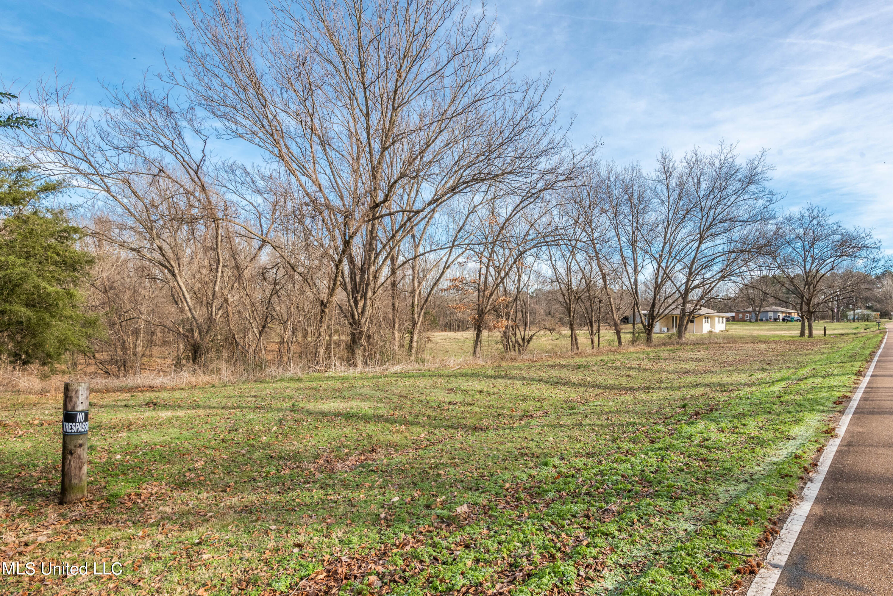 5098 Days Road Lake Cormorant, MS 38641 - Photo 20 of 21 West property line 2.77 acre