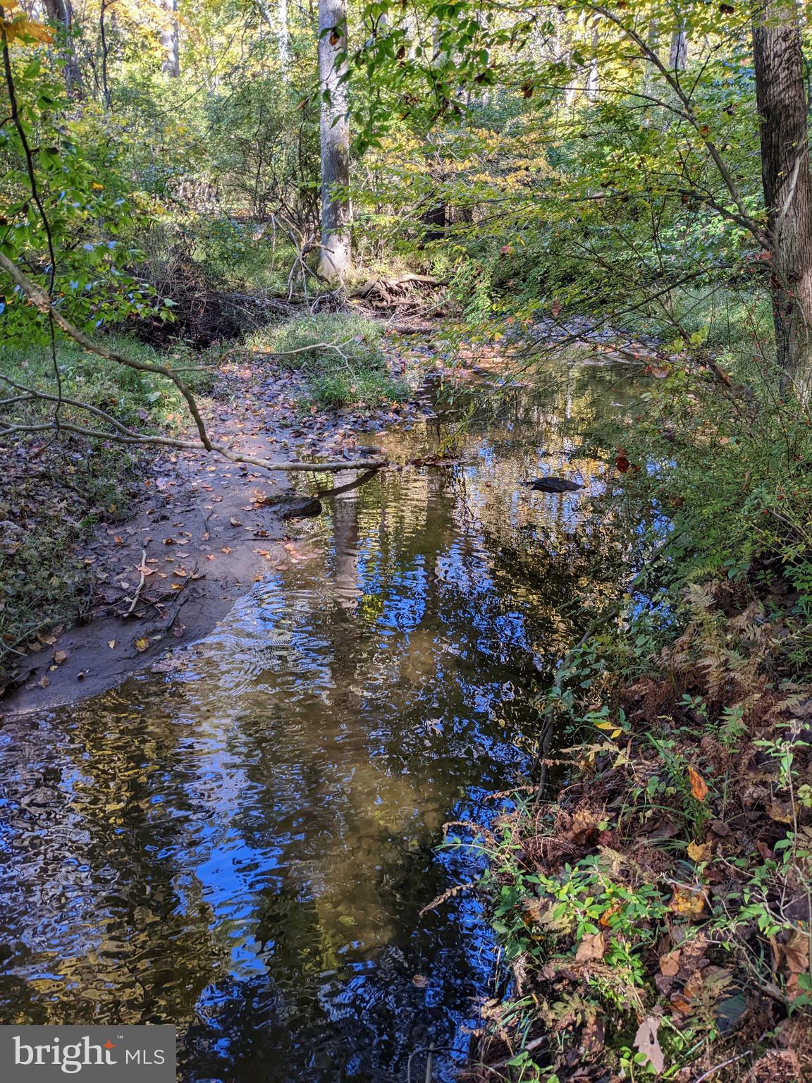 351 Hillendale Road Chadds Ford, PA 19317 - Photo 54 of 60 Stream in Wooded Section of the Property