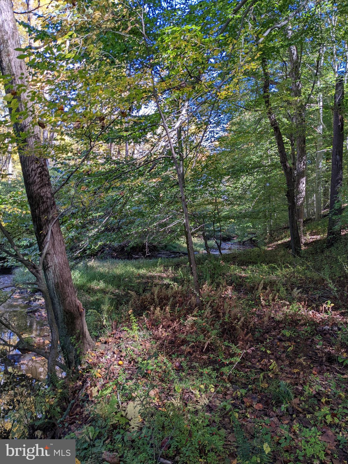 351 Hillendale Road Chadds Ford, PA 19317 - Photo 55 of 60 Stream in Wooded Section of the Property