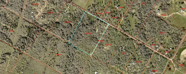 a close up of a plant with a plant