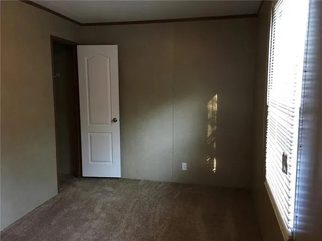 a view of a backyard with barn plants and large tree