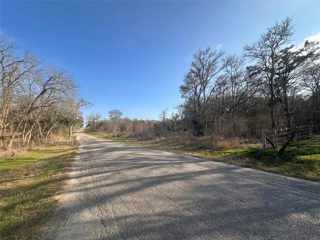 a view of a dry yard