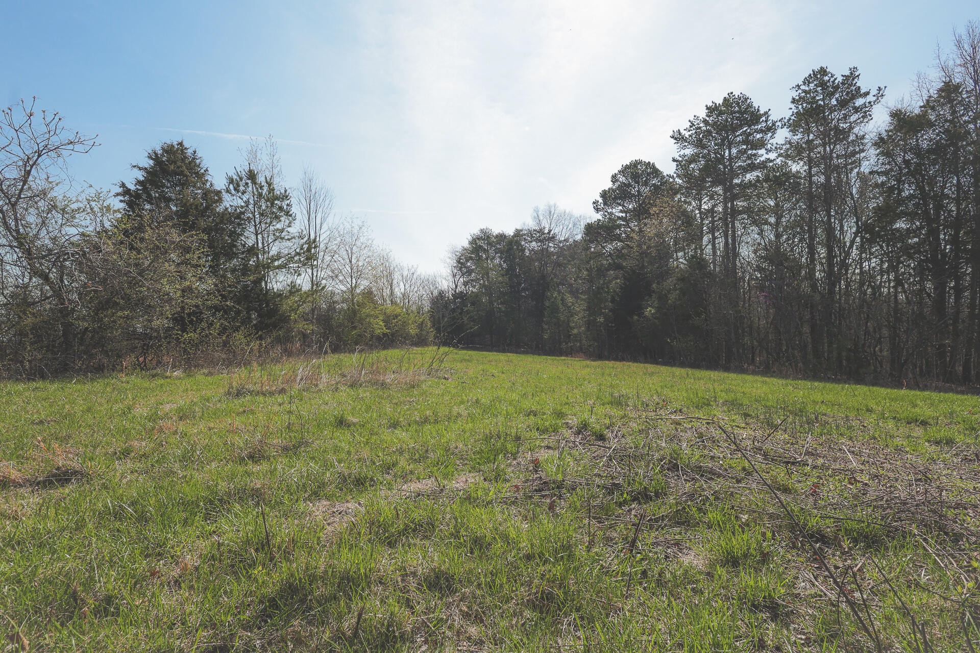 527 Dyer Hollow Road Dayton, TN 37321 - Photo 33 of 61 Gallery Image 33