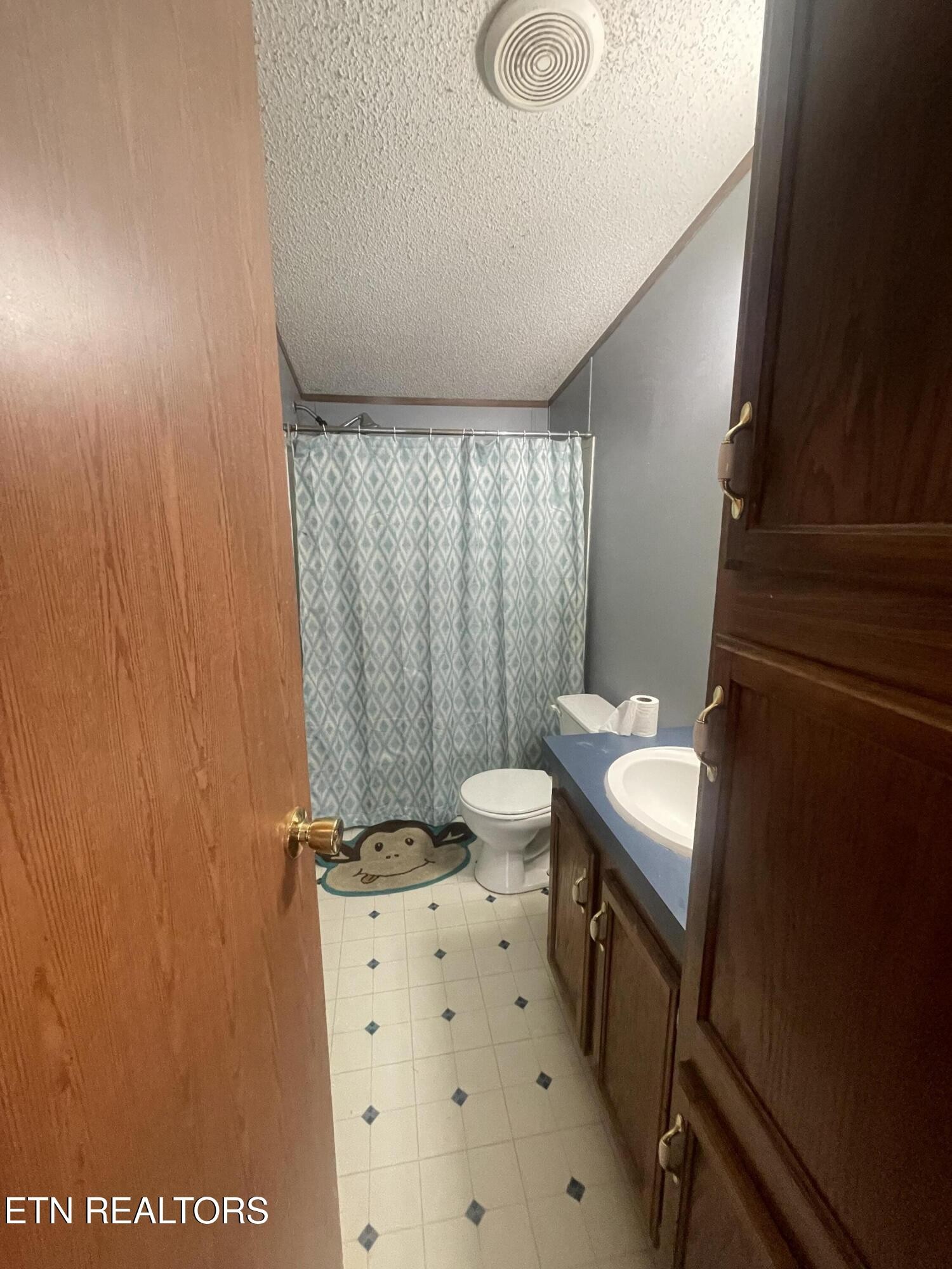 10320 Patsy Cline Way Strawberry Plains, TN 37871 - Photo 15 of 17 Gallery Image 15