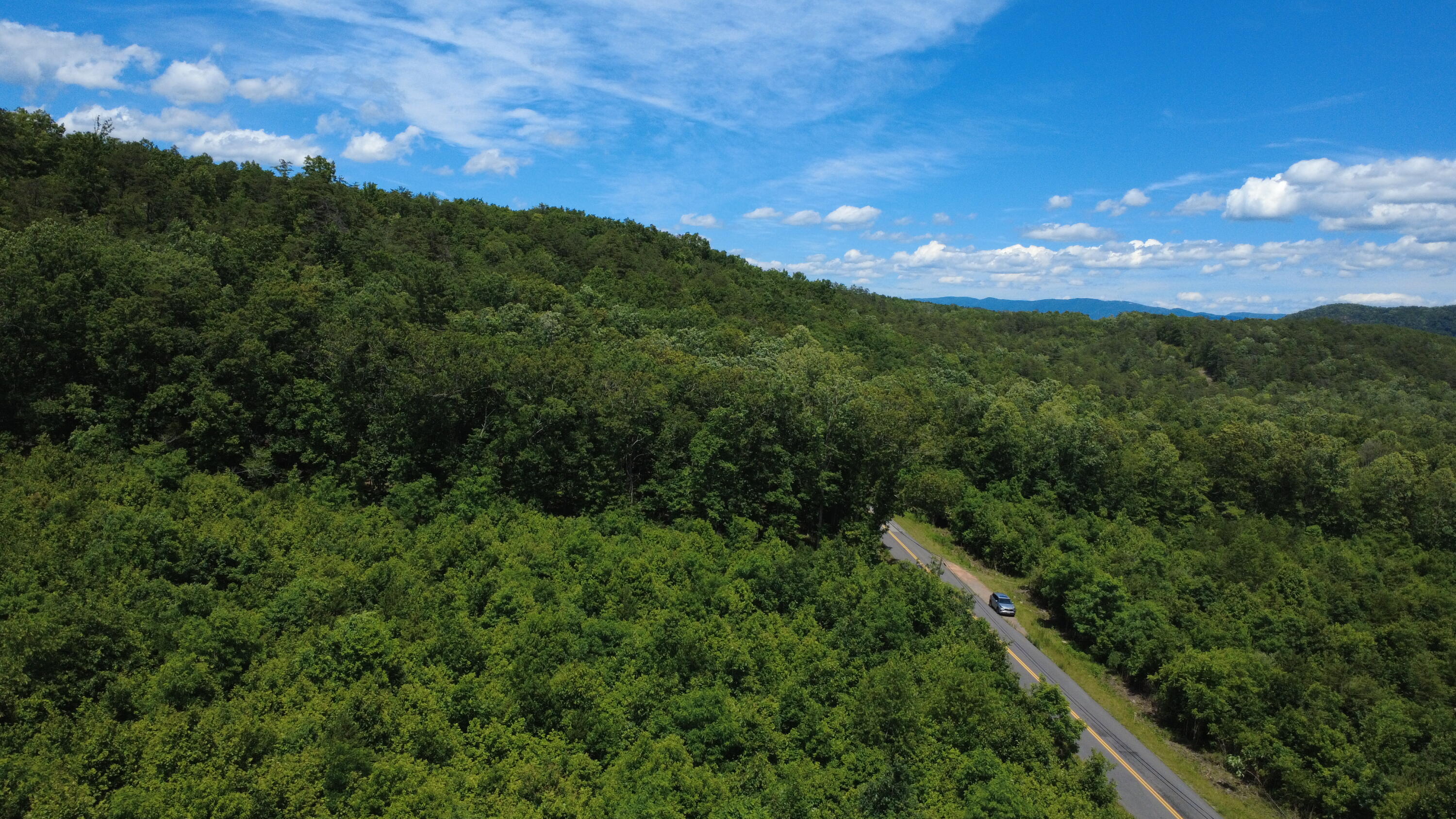 0 Craig Creek Road Eagle Rock, VA 24085 - Photo 5 of 25 a view of a city with lush green forest