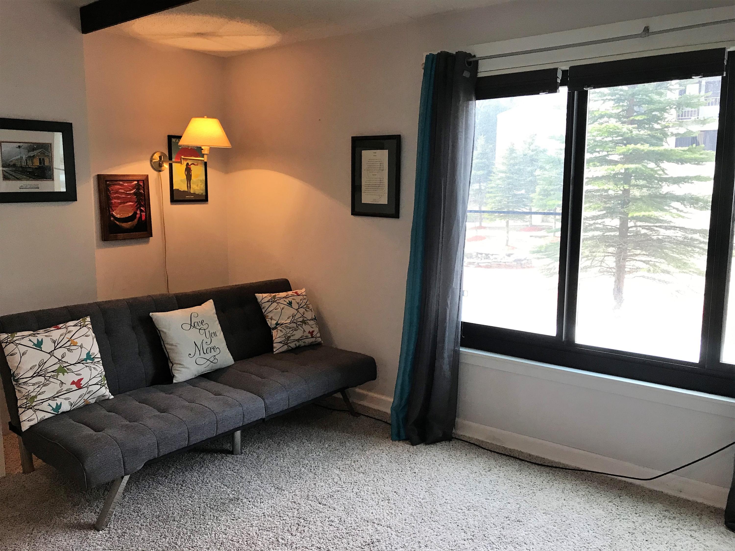1114 Silver Creek Road Snowshoe, WV 26209 - Photo 11 of 20 Gallery Image 11