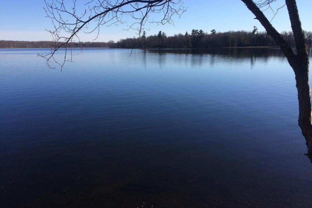 0 Nokay Lake Road Brainerd, MN 56401 - Photo 1 of 1 Gallery Image 1