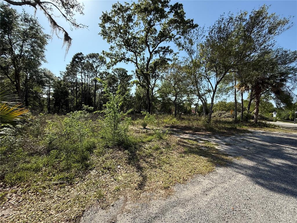 Indian Trail Road Brooksville, FL 34613 - Photo 11 of 27 a view of road with trees