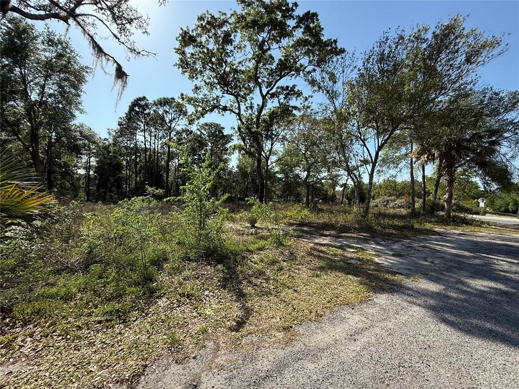 Indian Trail Road Brooksville, FL 34613 - Photo 14 of 27 a view of a yard with a tree