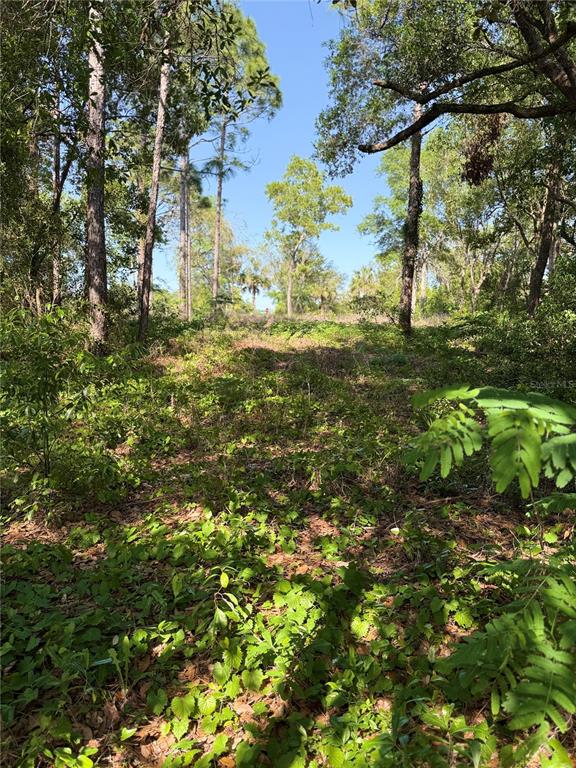 Indian Trail Road Brooksville, FL 34613 - Photo 17 of 27 a view of outdoor space