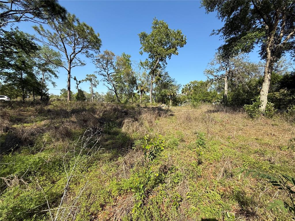 Indian Trail Road Brooksville, FL 34613 - Photo 18 of 27 a view of a yard with a tree