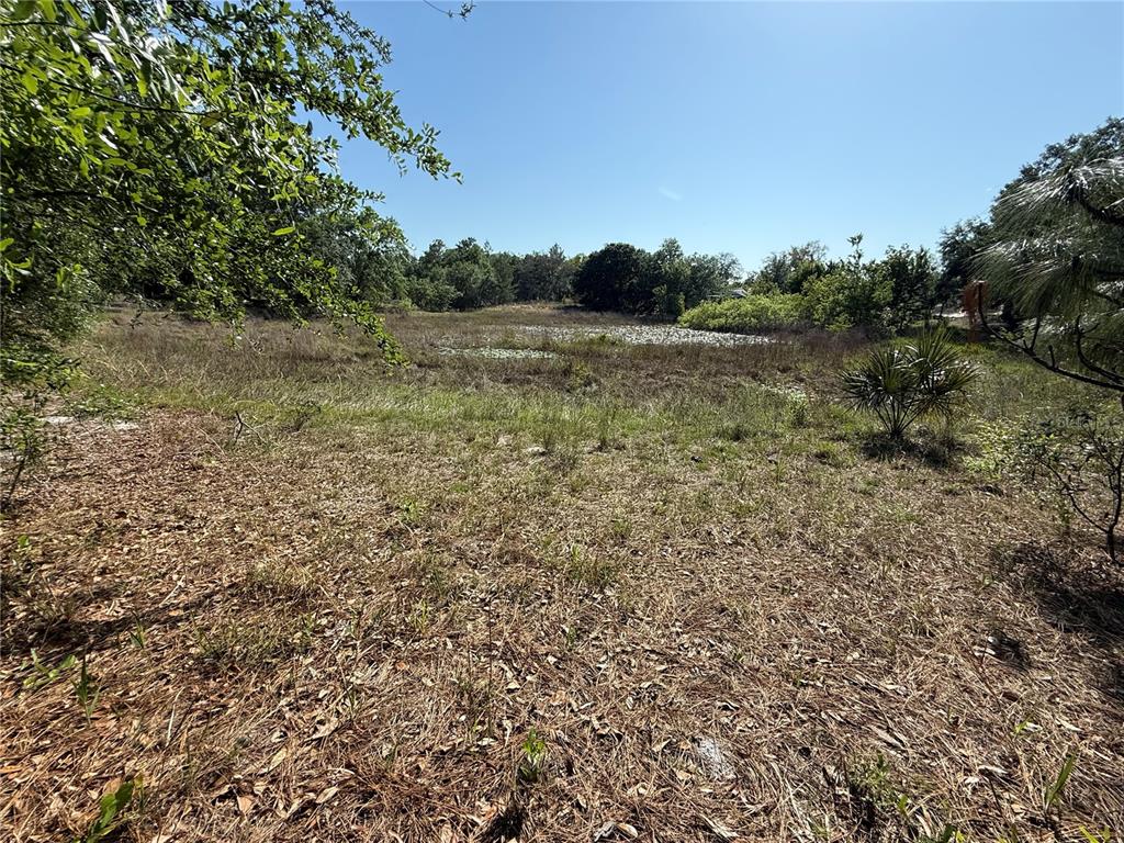 Indian Trail Road Brooksville, FL 34613 - Photo 19 of 27 a view of a field with trees in the background