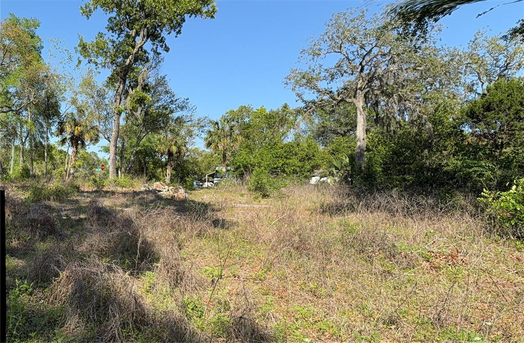 Indian Trail Road Brooksville, FL 34613 - Photo 20 of 27 a view of a yard with plants and a bench