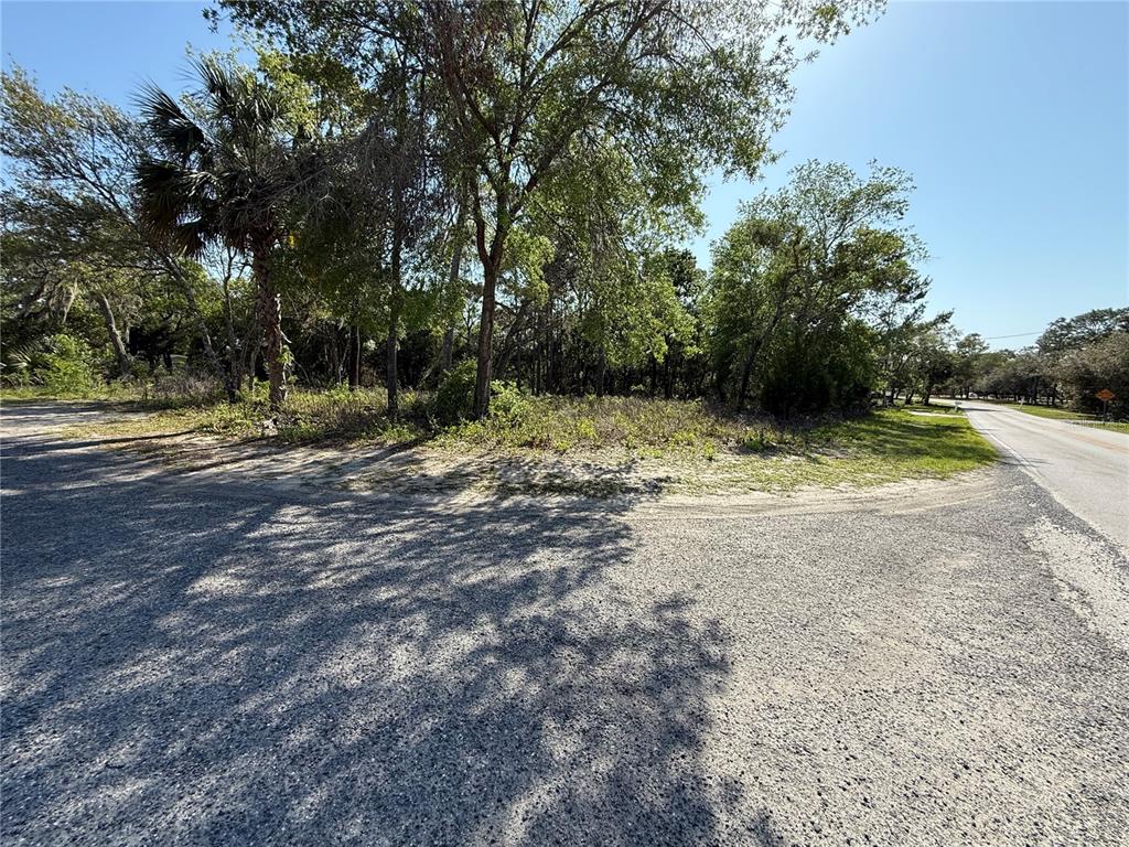 Indian Trail Road Brooksville, FL 34613 - Photo 2 of 27 a view of dirt yard with a trees