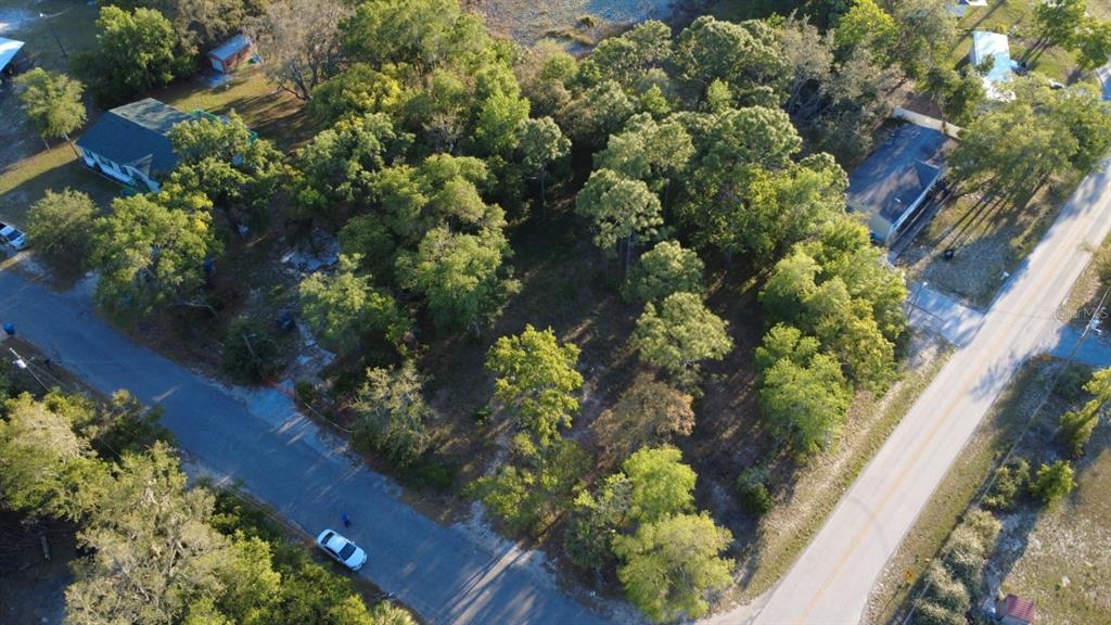 Indian Trail Road Brooksville, FL 34613 - Photo 22 of 27 a picture of flowers and tree