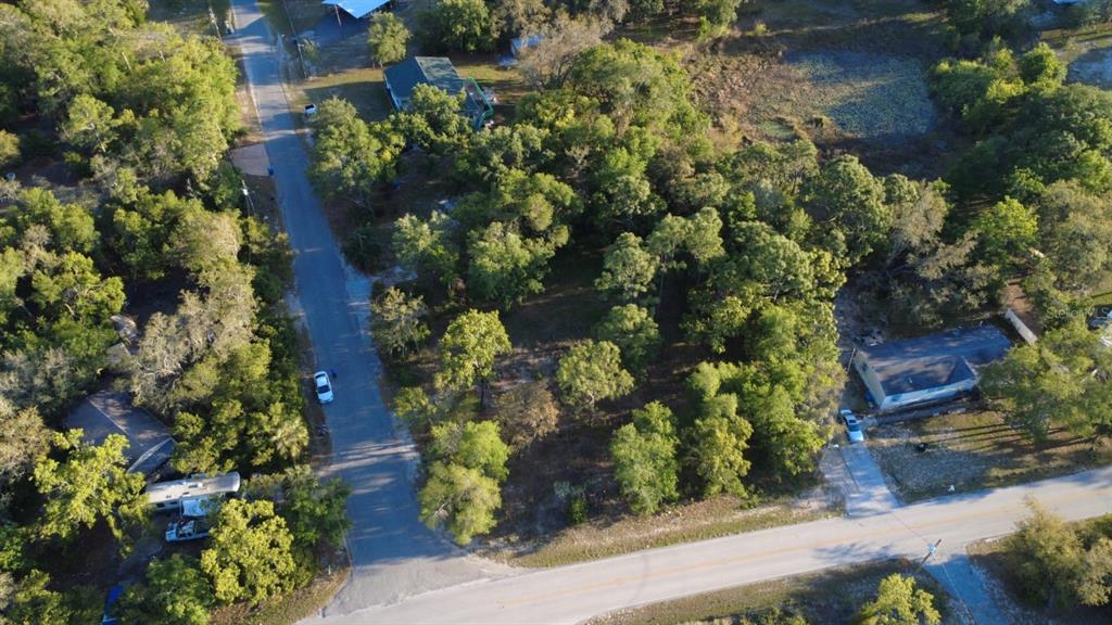 Indian Trail Road Brooksville, FL 34613 - Photo 23 of 27 a picture of flowers