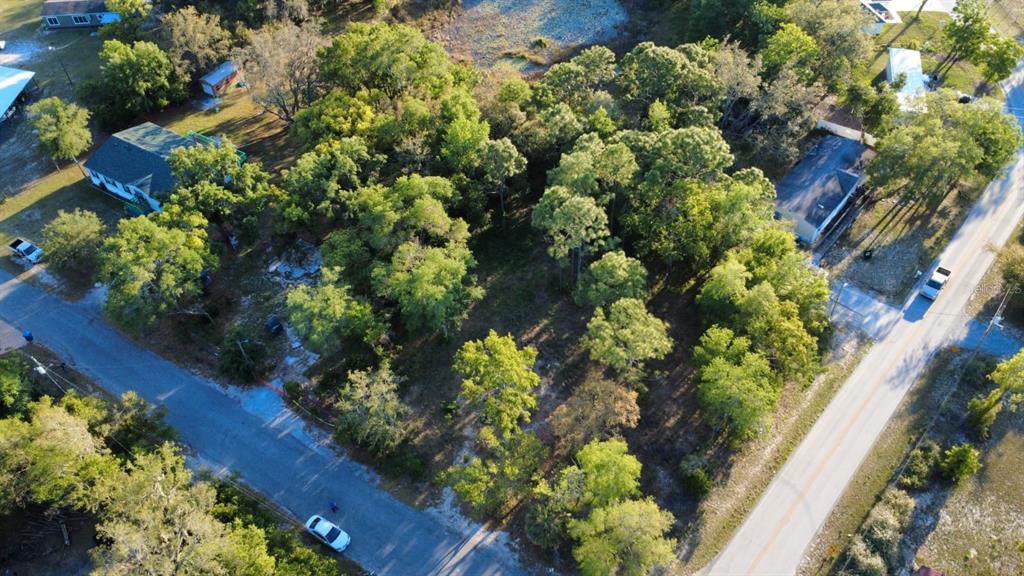 Indian Trail Road Brooksville, FL 34613 - Photo 24 of 27 a view of a garden with plants