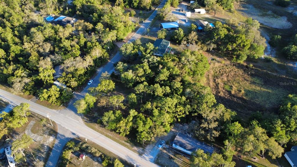 Indian Trail Road Brooksville, FL 34613 - Photo 25 of 27 a view of a garden