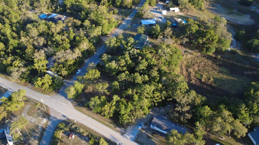 Indian Trail Road Brooksville, FL 34613 - Photo 26 of 27 a view of a garden