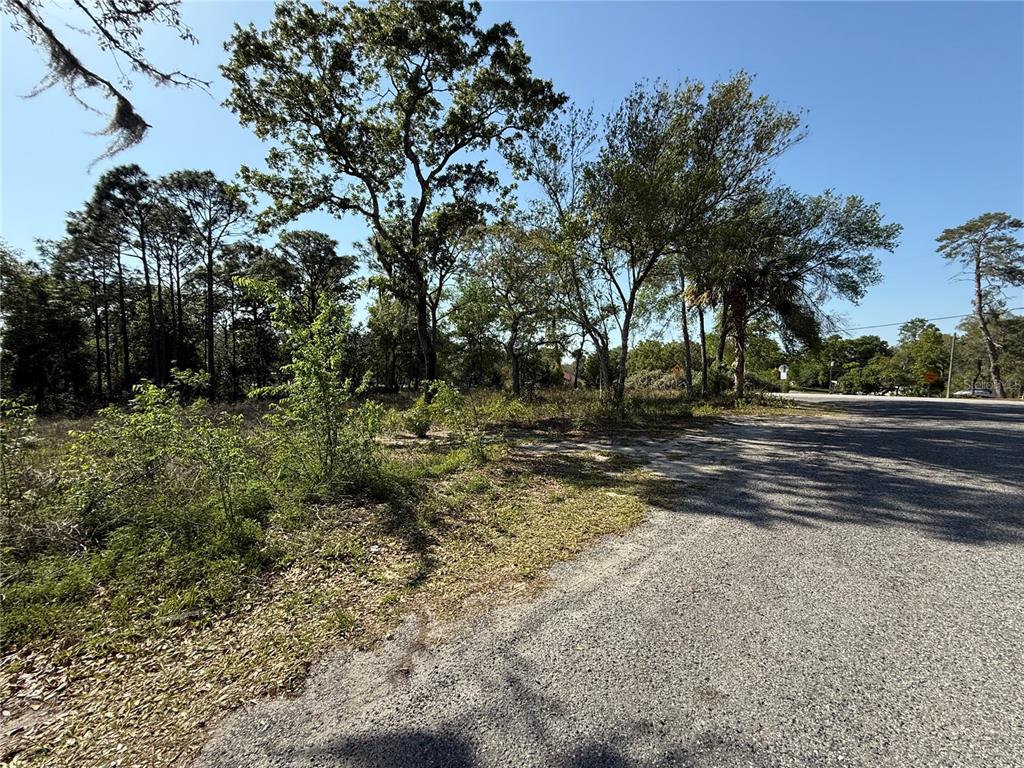 Indian Trail Road Brooksville, FL 34613 - Photo 4 of 27 a view of a yard