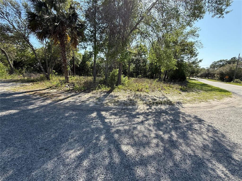Indian Trail Road Brooksville, FL 34613 - Photo 5 of 27 a view of a yard with a tree