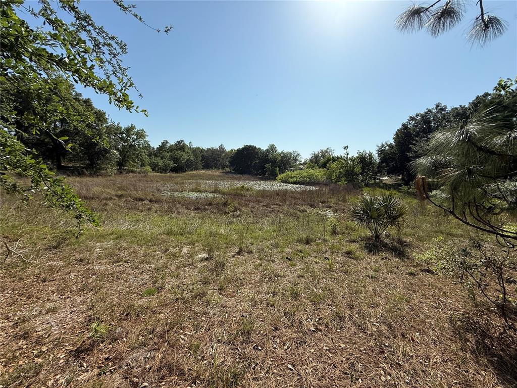 Indian Trail Road Brooksville, FL 34613 - Photo 6 of 27 a view of field with trees in background